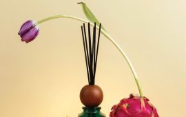 WhatsApp Image 2025-09-15 at 14.40.47_d2b66cea